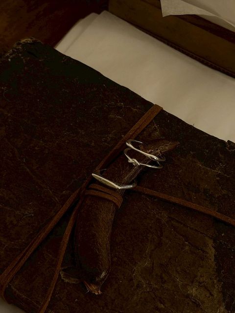 image_55EF884F-5A02-4E42-9F2D-3CE22C8044F0_1765962108