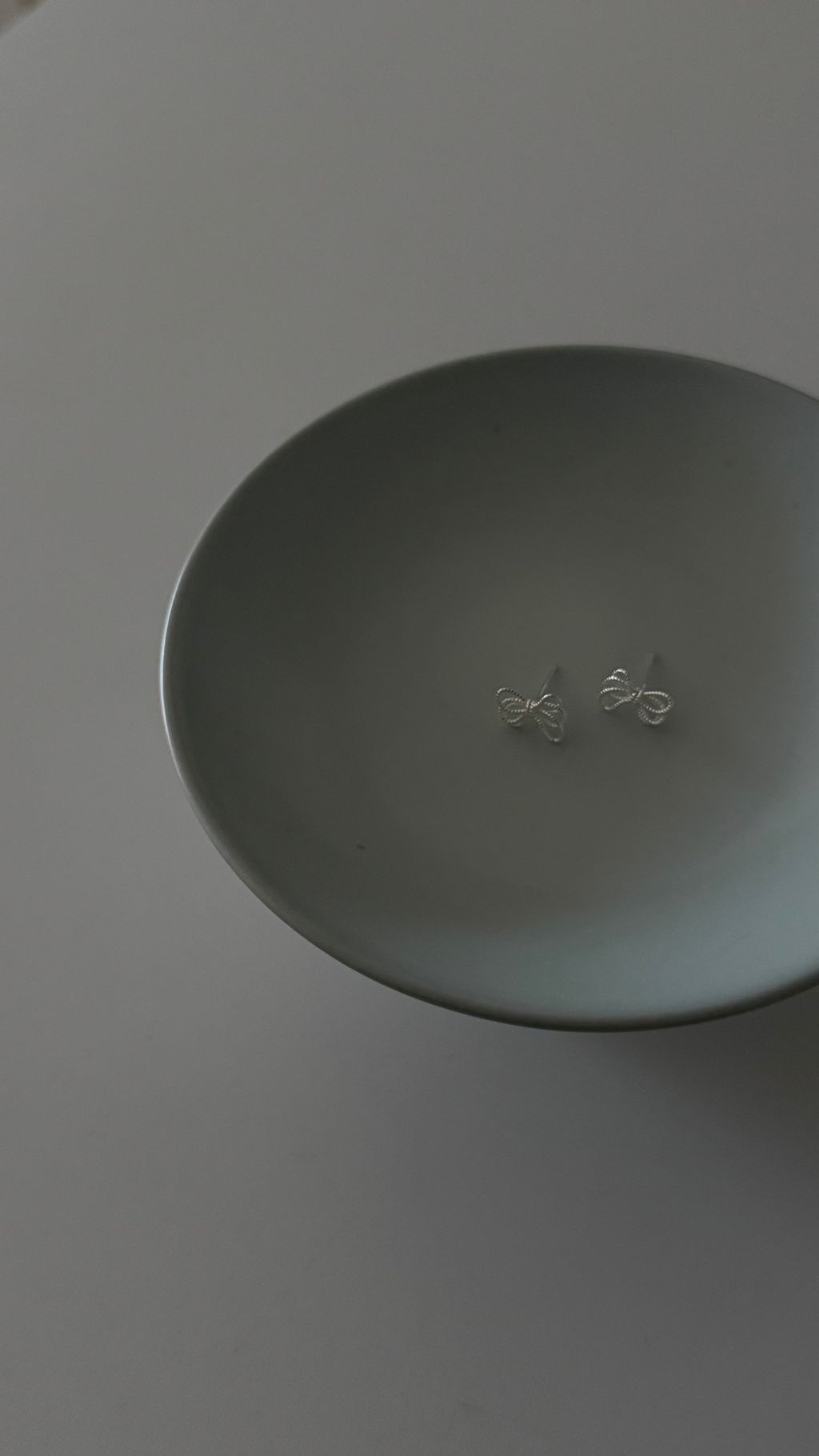 image_A6BC4610-DC24-40C9-8798-0A19F4274667_1766052739