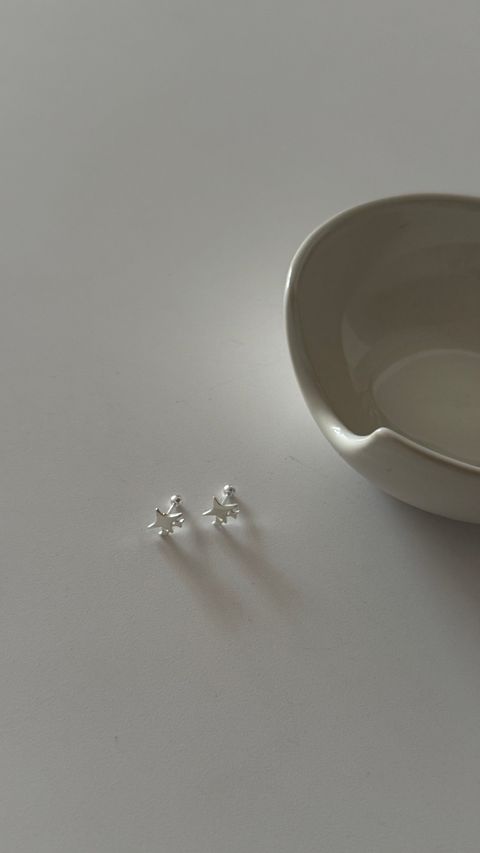 image_60E23966-34DF-4875-81B1-DB226A59AABE_1766481682