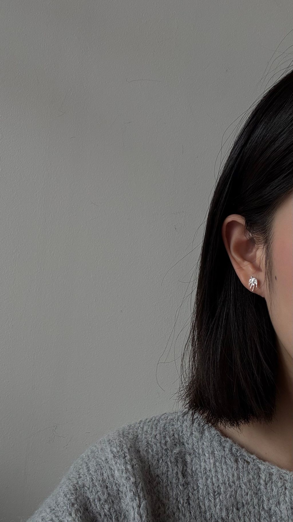 image_B5D01DDF-9541-48A8-9377-644C0D39CCC5_1766481752