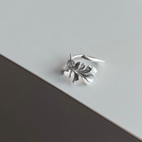 image_FF830617-C5A6-4C32-9B73-0464346D48DE_1769587996