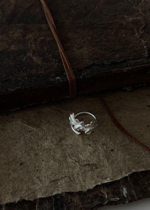 image_11B4A9DE-E2AB-4AE6-80AF-E5517E61AF1C_1770289575