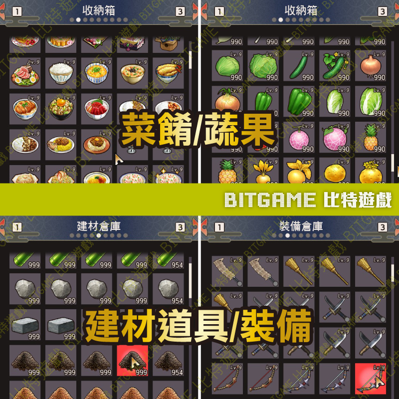 NS NS2 PC符文工廠 龍之天地-03
