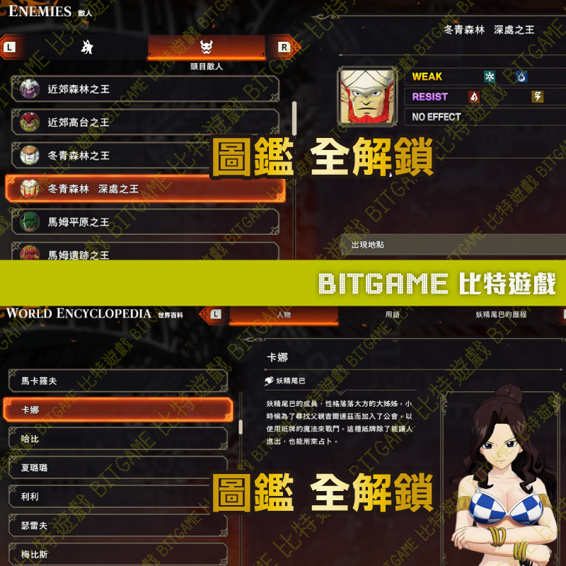 FAIRY TAIL 魔導少年 2-04