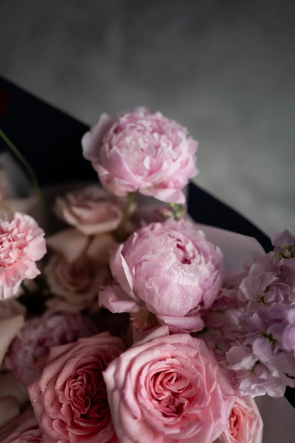 image_4219DA28-F0EC-457A-A858-735292536B46_1747718784