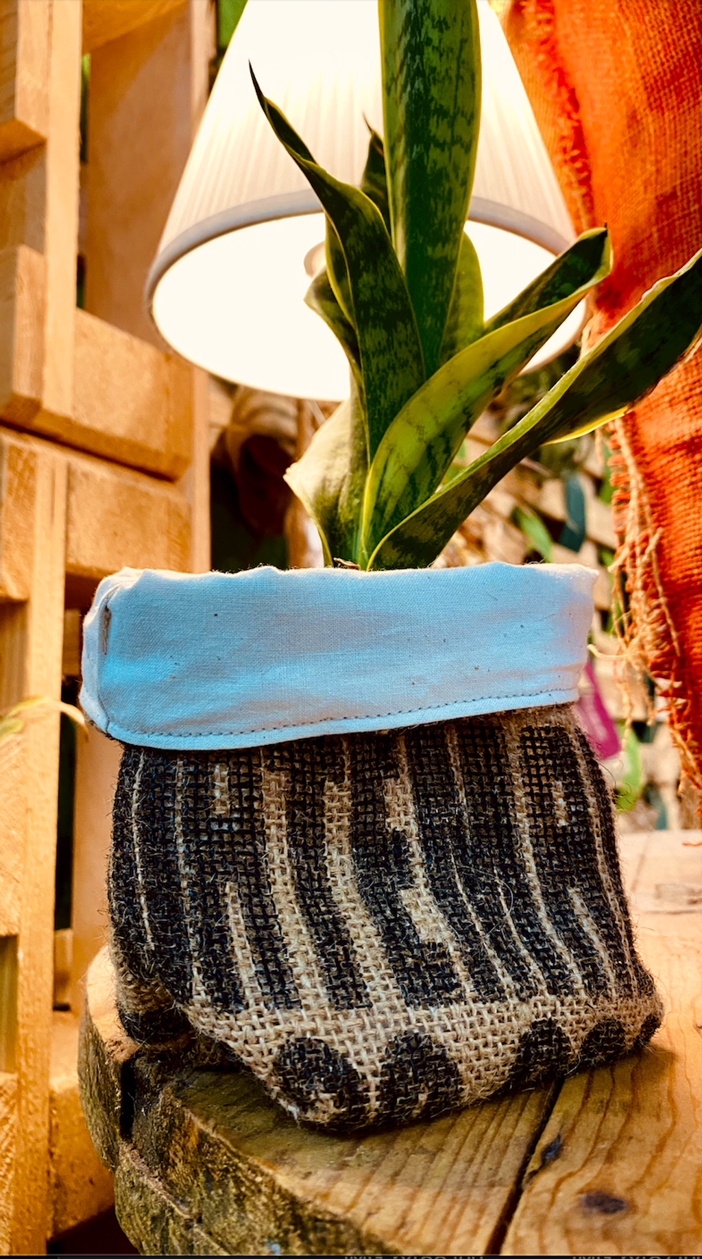 截圖 2026-02-03 下午3.38.59