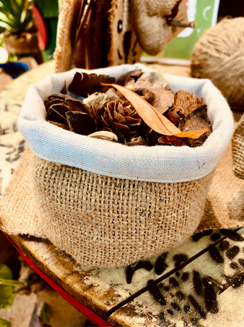 截圖 2026-02-03 下午3.38.39