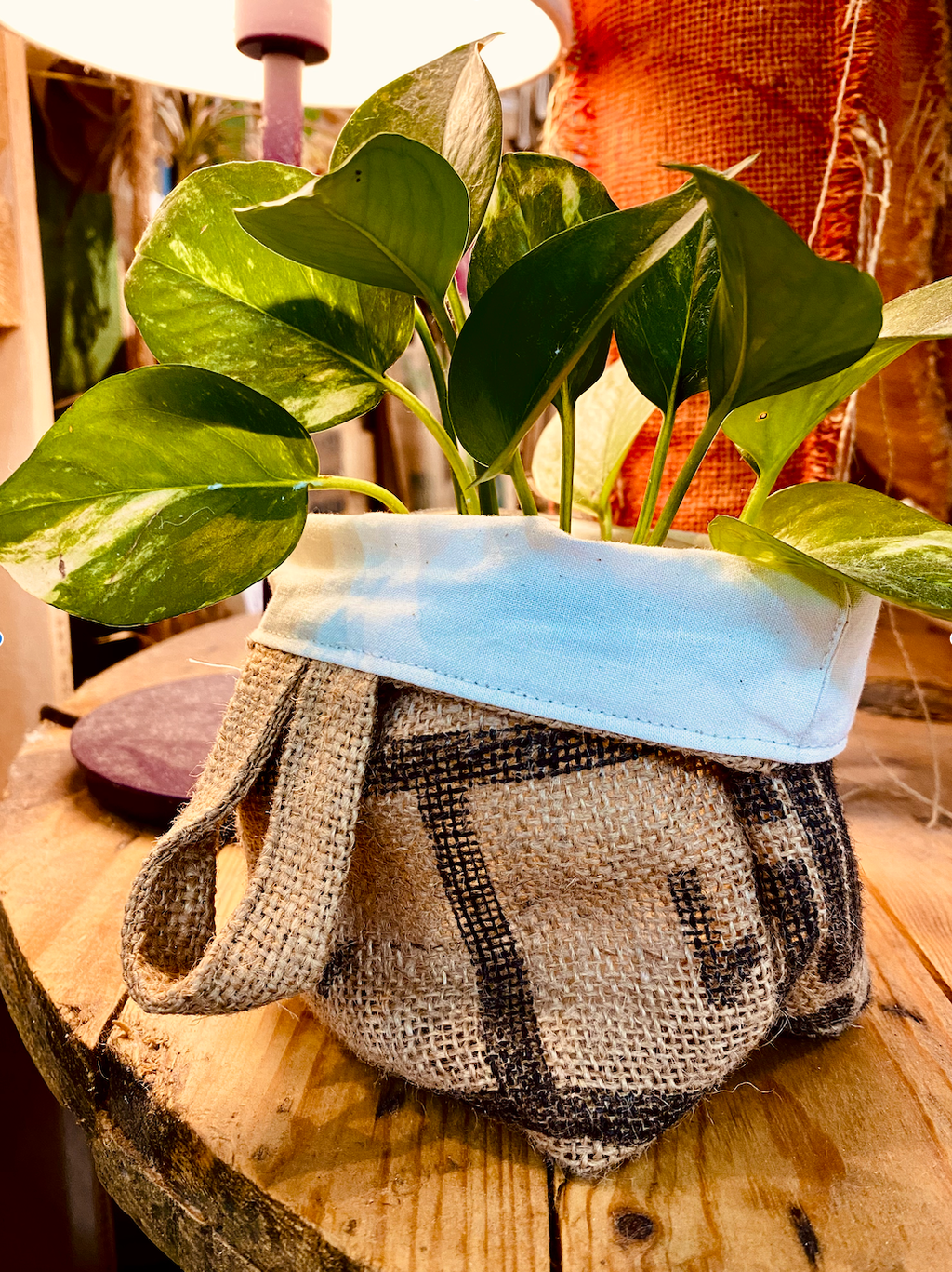 截圖 2026-02-03 下午3.37.06