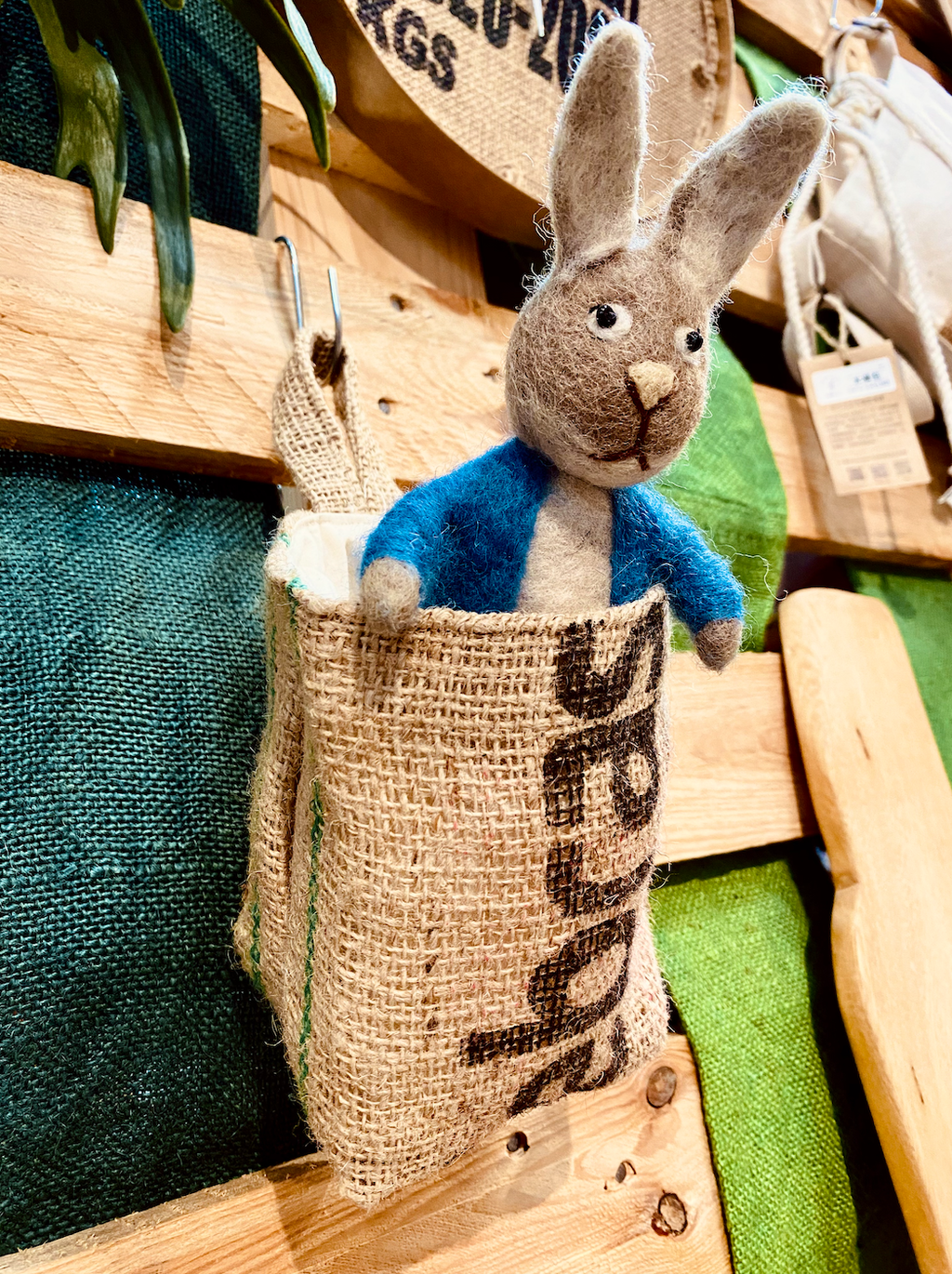 截圖 2026-02-03 下午3.37.33