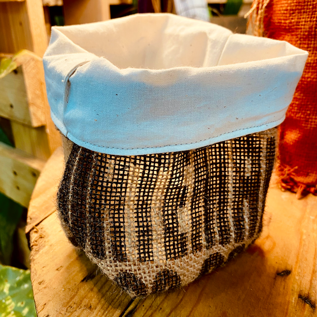 截圖 2026-02-03 下午3.35.21