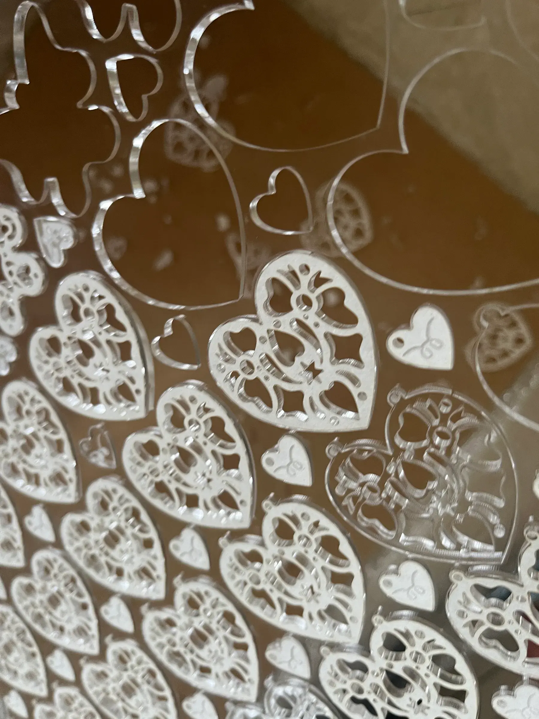 image_C125B737-8811-4FAC-A387-709B2BEAAB8D_1771152097