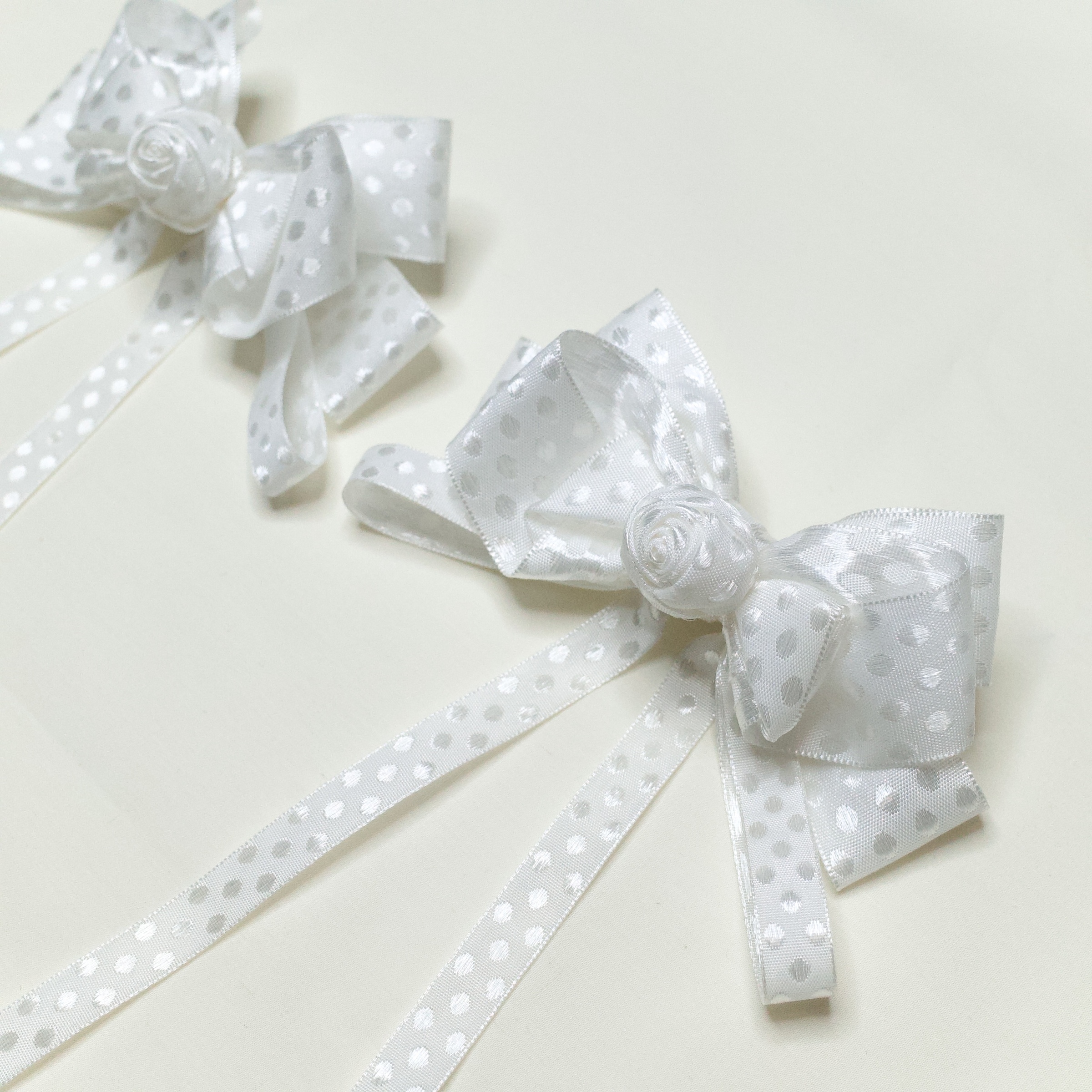 image_0A41539E-15EB-4141-8F40-C91D8B61409D_1765797932