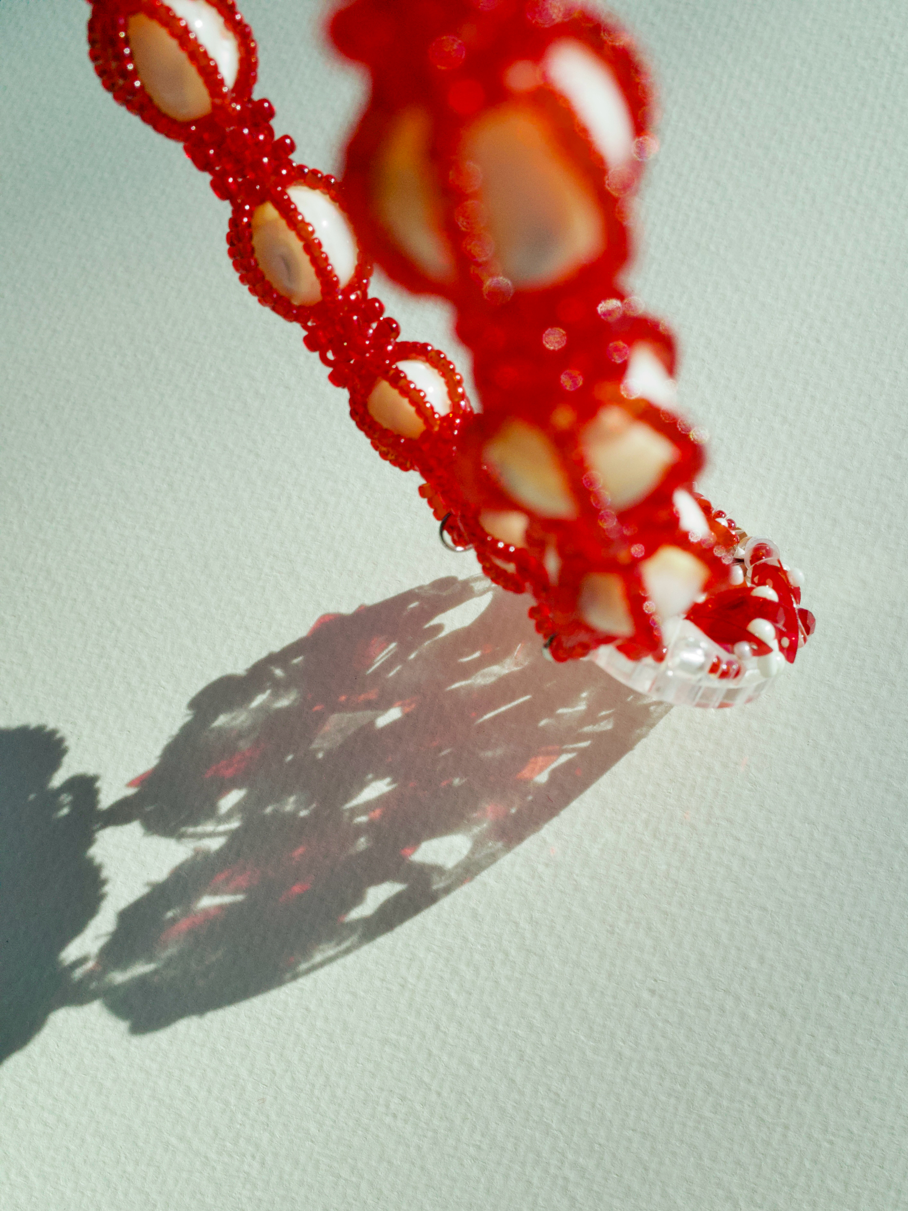 image_709E55CD-F223-4B29-A58A-91C52718AE1B_1771152352