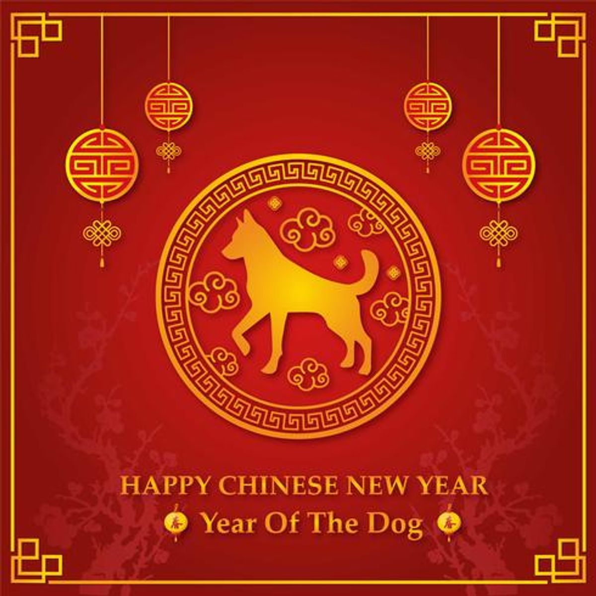 HAPPY Chinese New Year 2018!