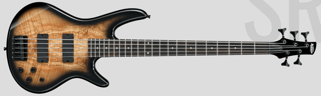 Ibanez GSR205SM.PNG