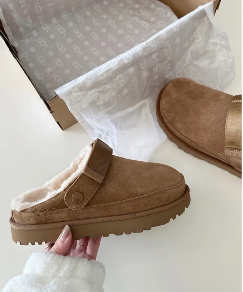 截圖 2026-03-14 下午1.26.01