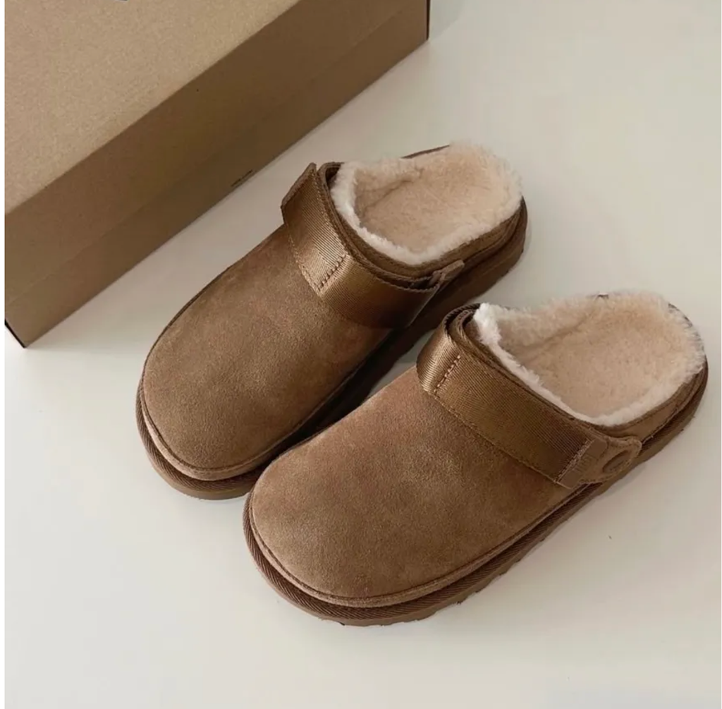 截圖 2026-03-14 下午1.26.10