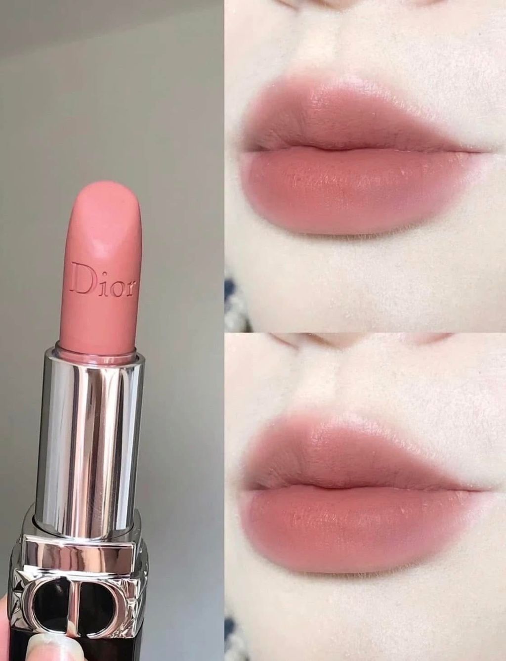 IMG_4782-1736331910512