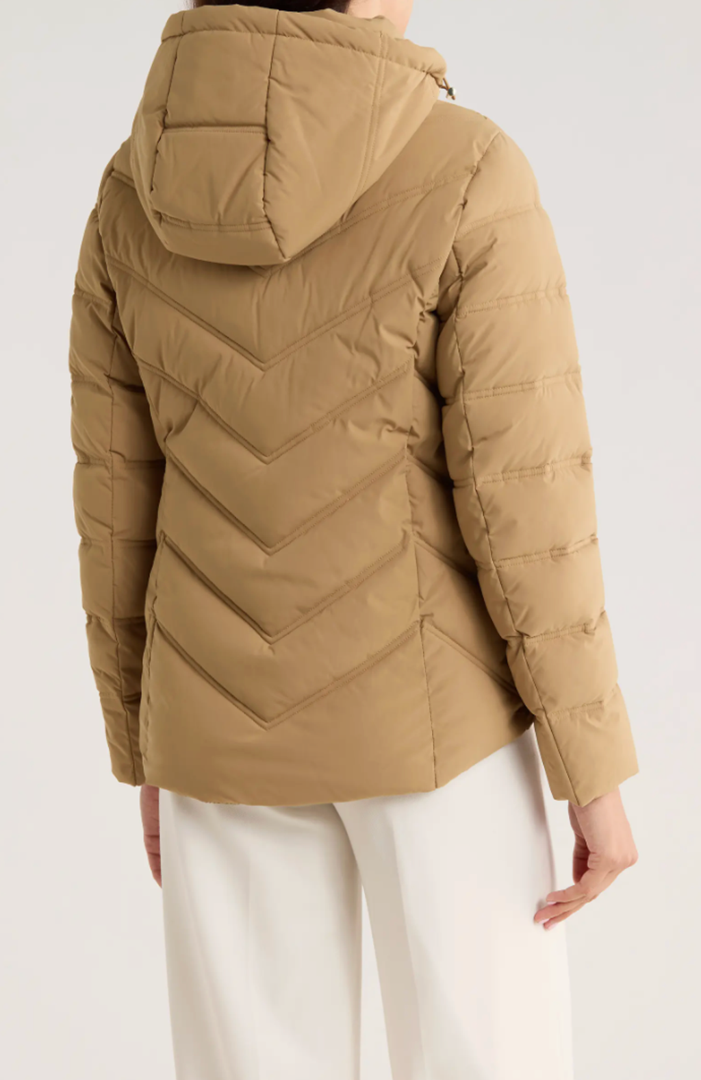 截圖 2025-12-23 下午1.29.29