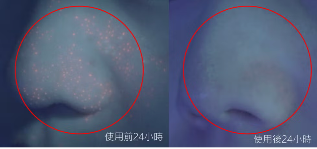 截圖 2026-01-21 下午1.45.39