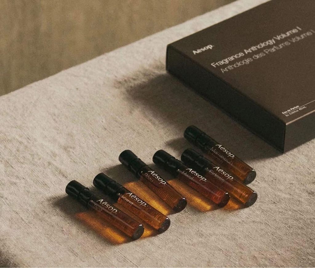 560193642_833982629586119_5153995414687261941_n