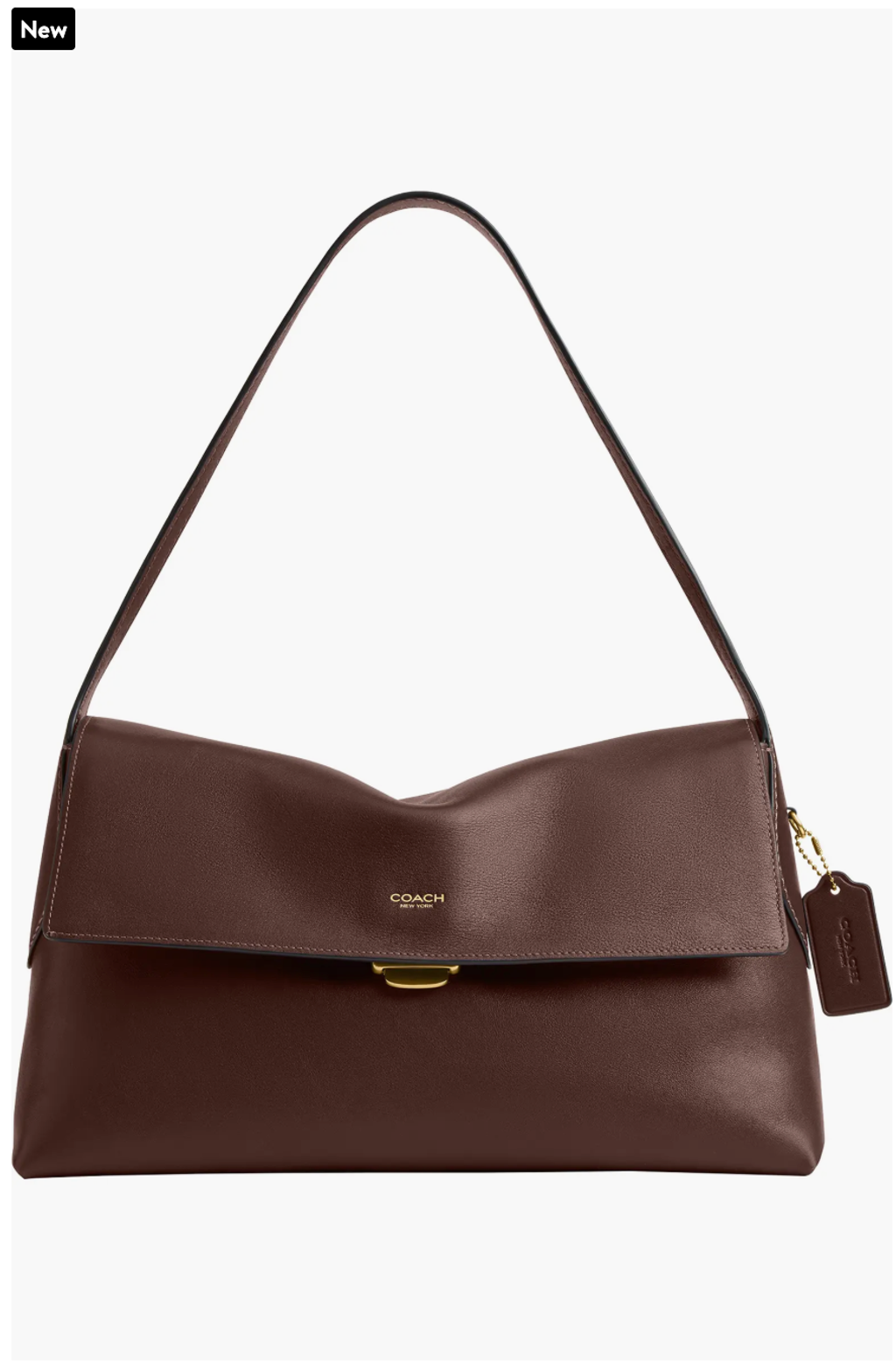 截圖 2026-02-10 下午1.38.09