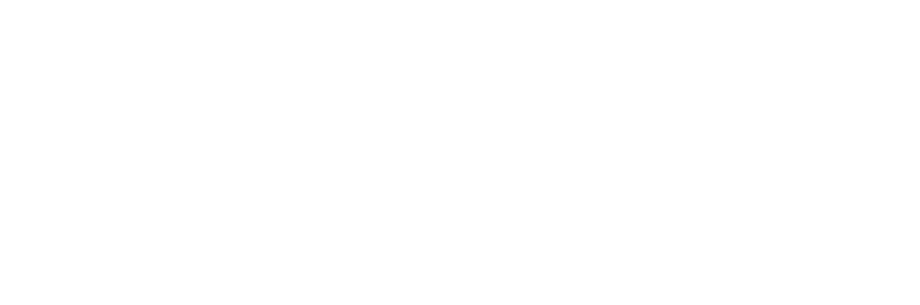 BRIAN NGIAM design