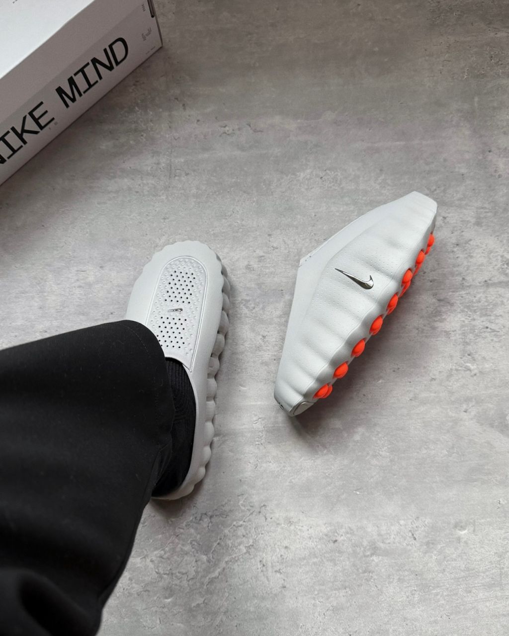 image_E3A62191-ADF3-4665-9BCE-1F24DE6DB02D_1768610986