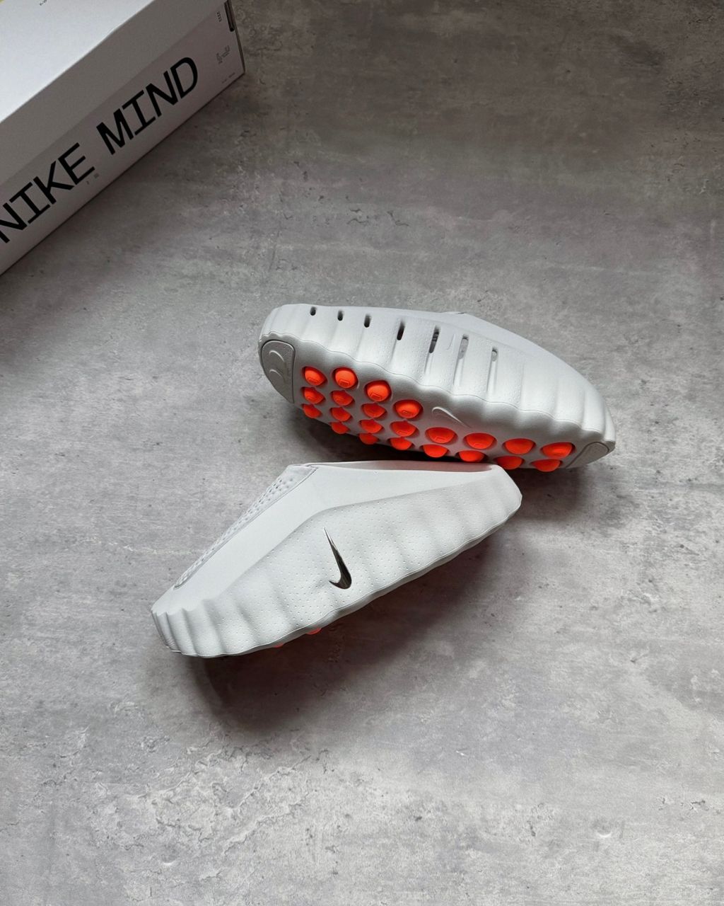 image_4CE51725-F819-42AB-9AA4-06B2C7D04136_1768610986