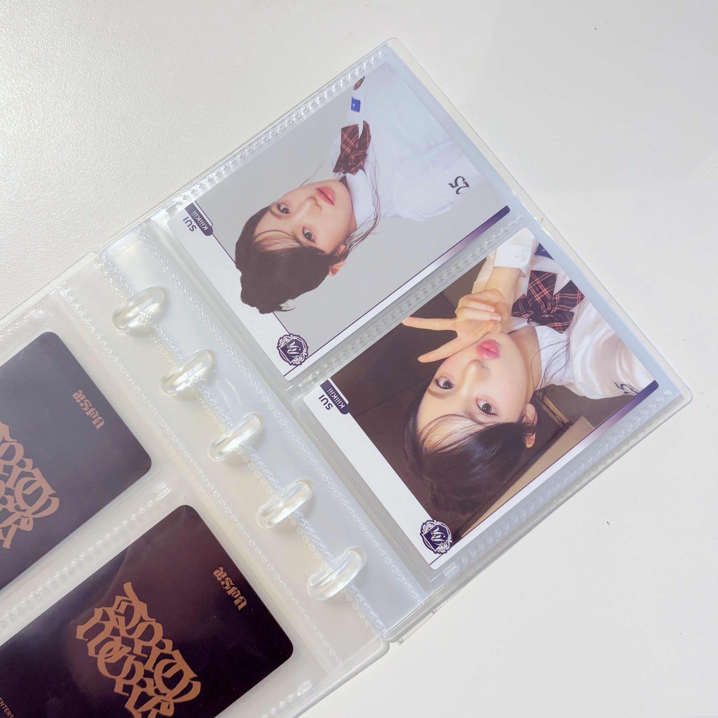 IMG_0862_SnapseedCopy