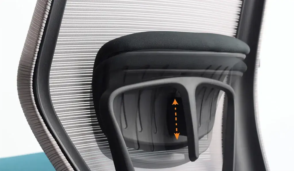 PGA-lumbar-support