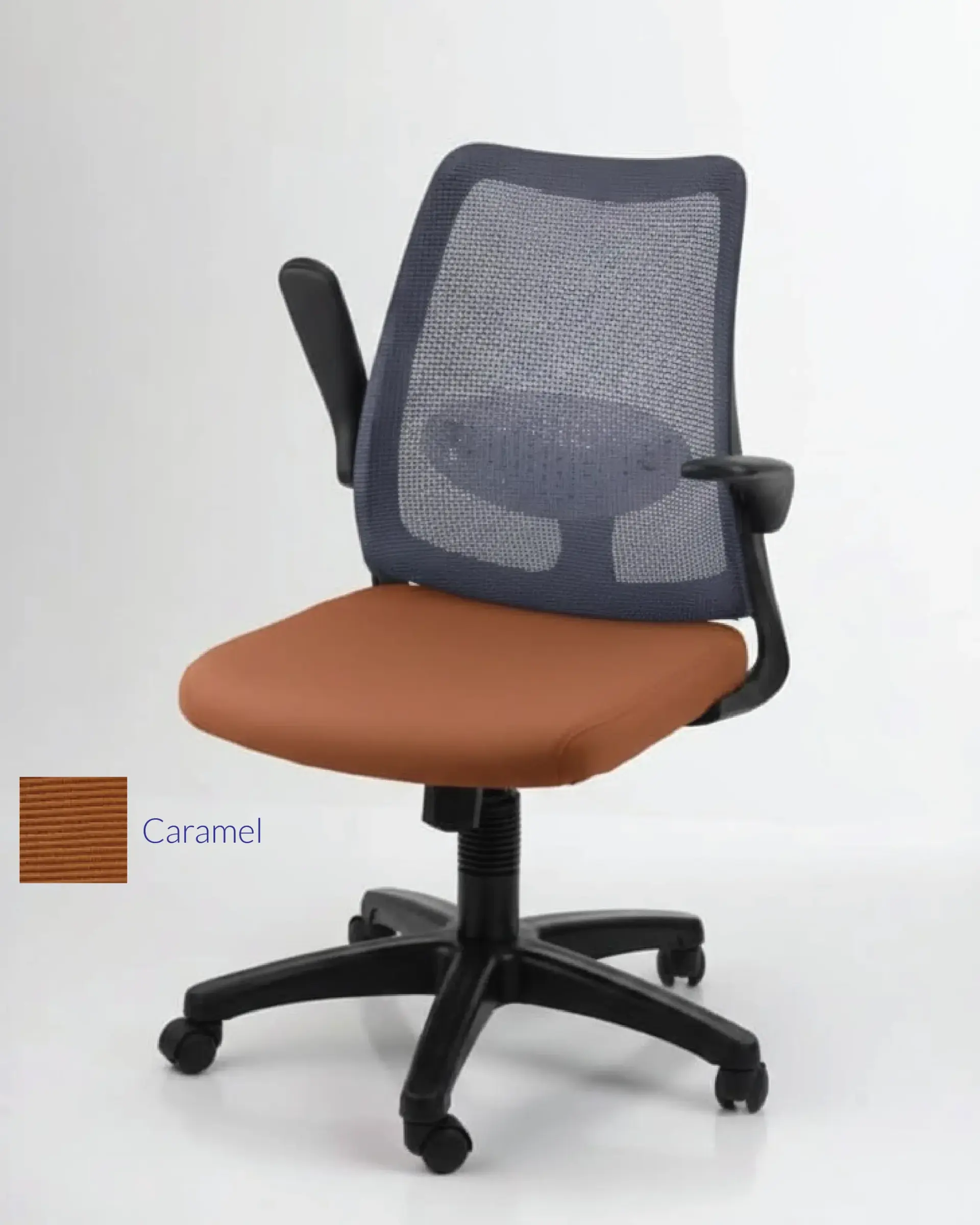 dolphin-chair-post-09_2048x