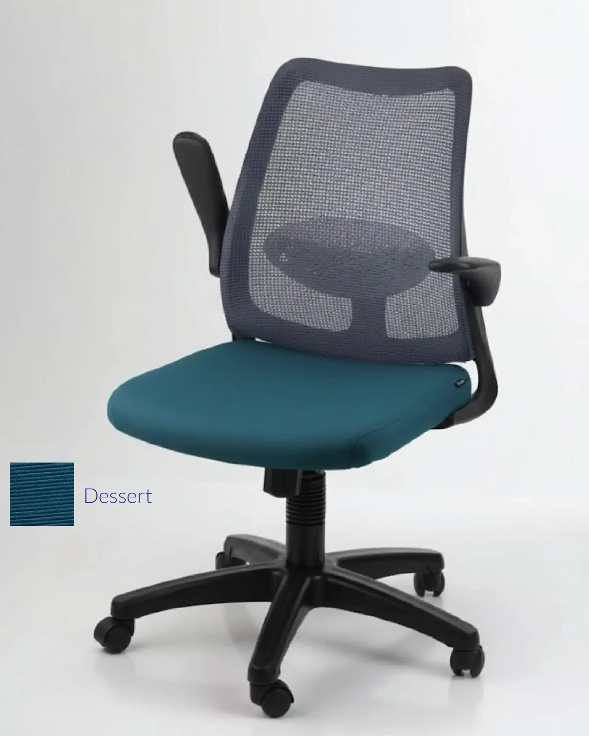 dolphin-chair-post-10_2048x