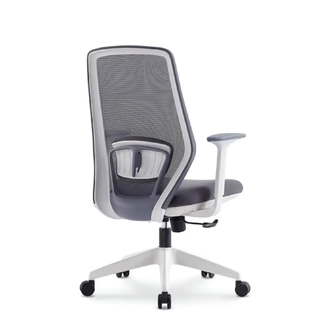 para-white-03