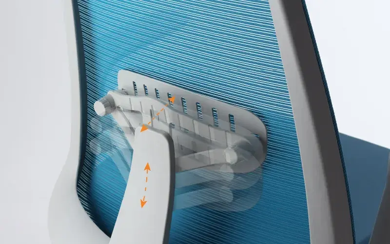 ALT-lumbar-support