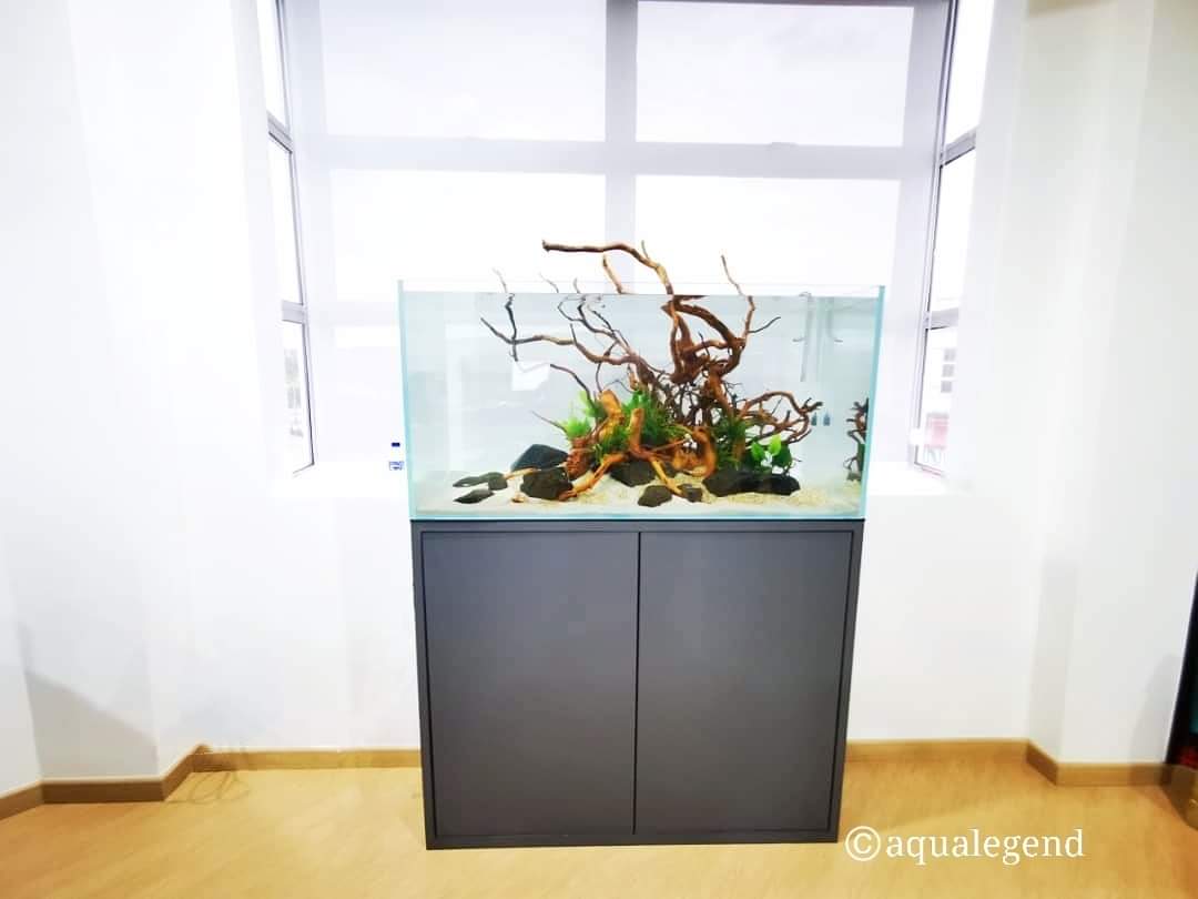 FB_IMG_1632828173456