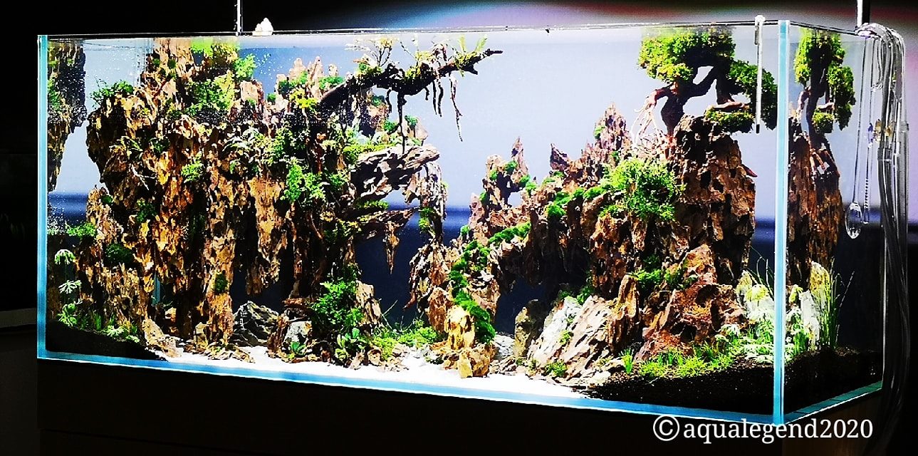 88118483_3021803781165499_3861650442098311168_o