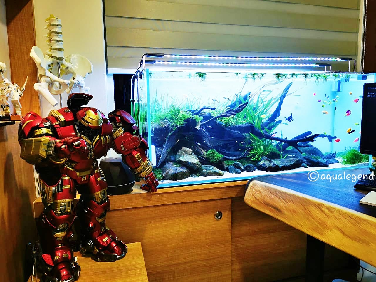 WhatsApp Image 2022-06-04 at 2.44.12 PM