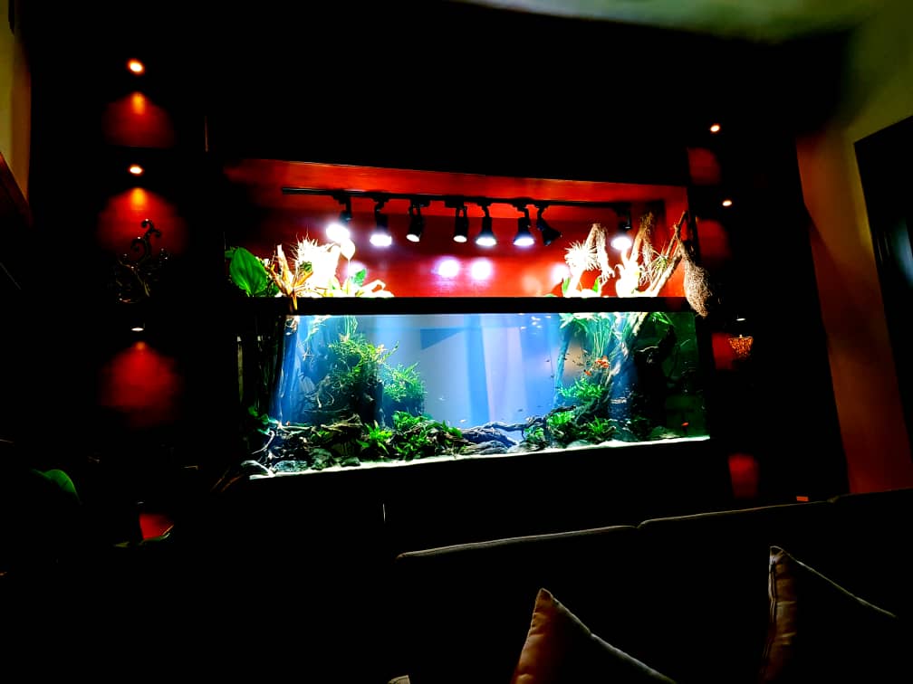 WhatsApp Image 2019-01-16 at 3.25.59 PM.jpeg