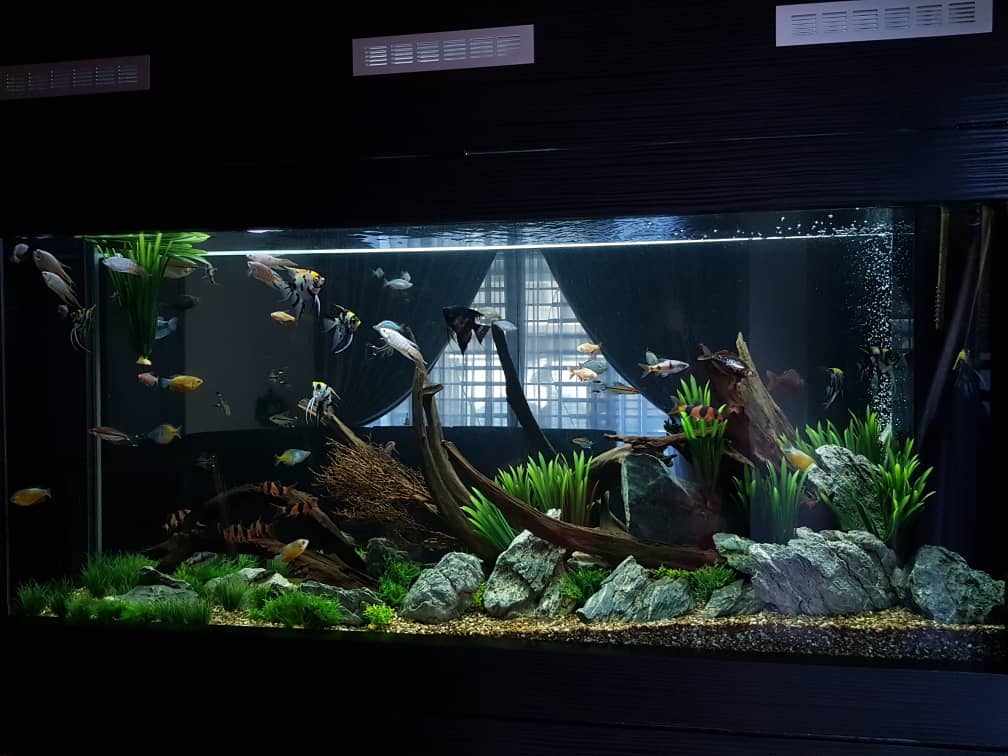 WhatsApp Image 2019-01-16 at 3.26.00 PM.jpeg