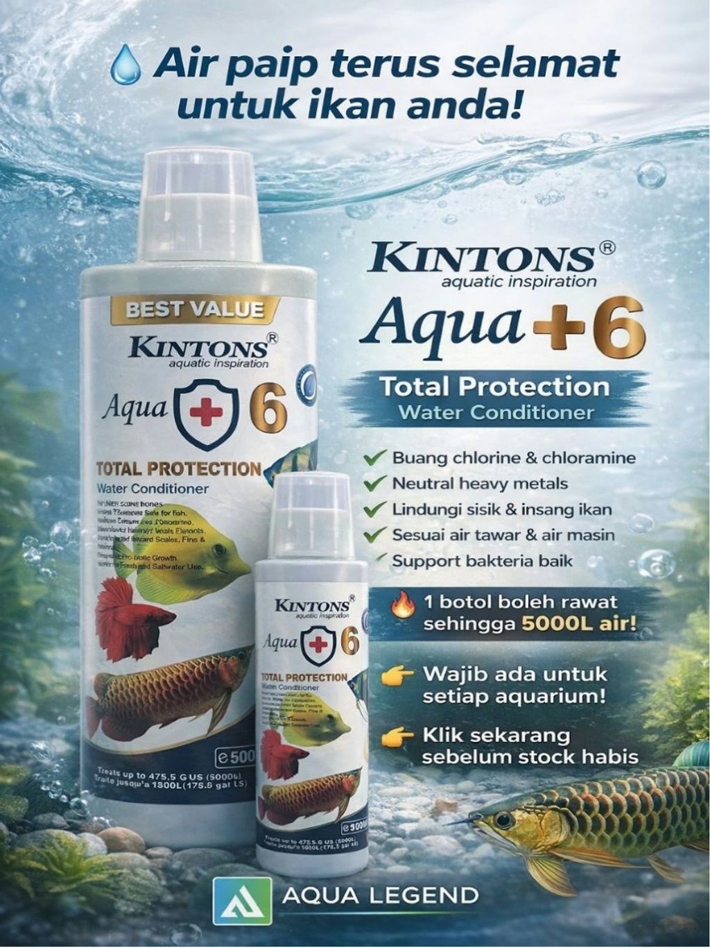 Kintons 400300
