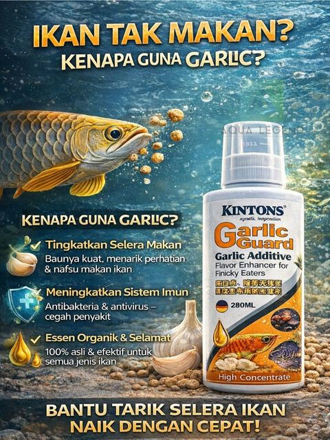 kgg 400300