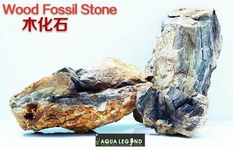 2016-03-27 16.52.06.jpg