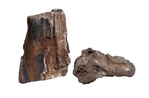 fossilized-wood-stone-per-kg-[2]-1663-p.jpg