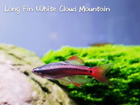 WhatsApp Image 2020-10-08 at 7.08.25 PM (1).jpeg