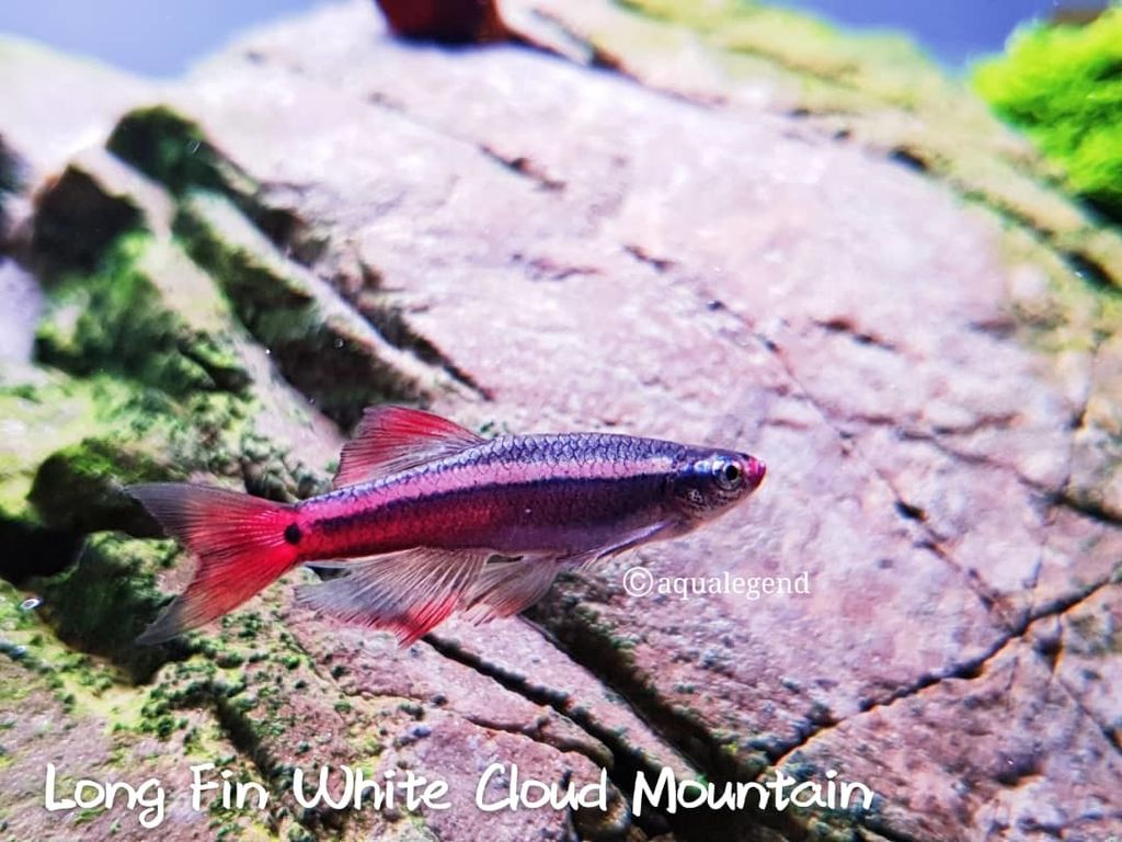 WhatsApp Image 2020-10-08 at 7.08.25 PM.jpeg