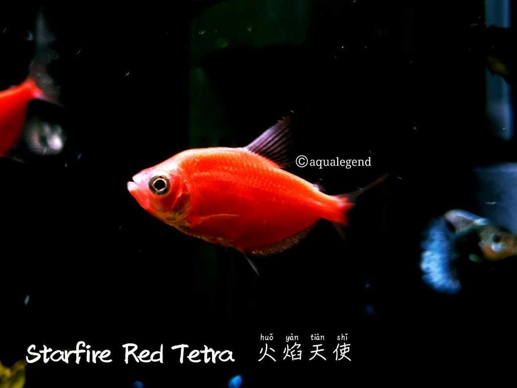 WhatsApp Image 2021-07-16 at 1.39.02 PM (2).jpeg