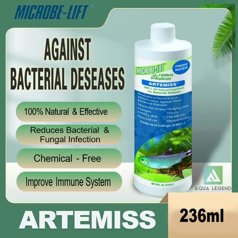 ARTEMISS 236ml old.jpg