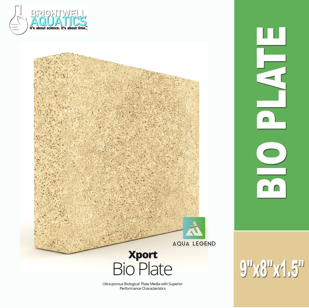 BIO PLATE.jpg