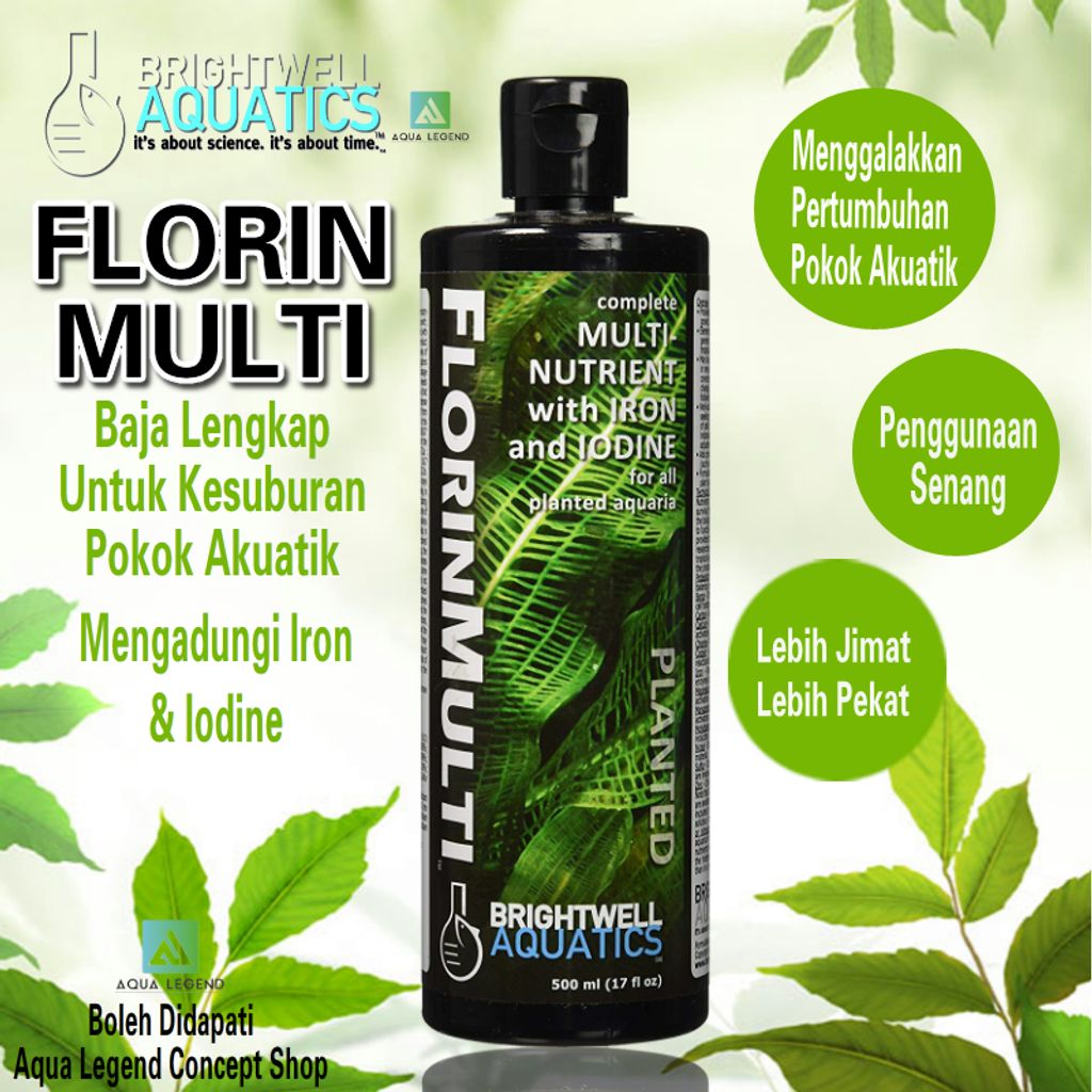 florin multi bahasa.jpg